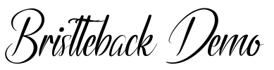 Bristteback Demo Font Image