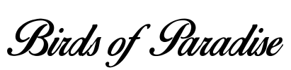 Birds of Paradise Font Image