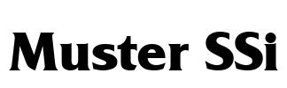 Muster SSi