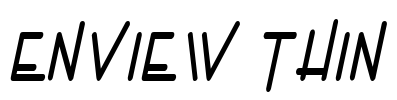 Enview Thin Font Image