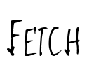 Fetch