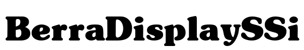 BerraDisplaySSi