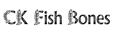 CK Fish Bones Font Image