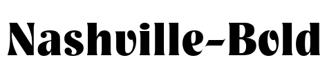 Nashville-Bold Font Image