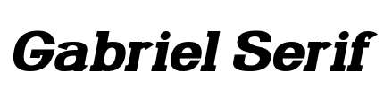 Gabriel Serif Font Image