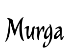 Murga