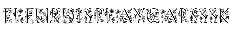 FleurDisplayCapsSSK