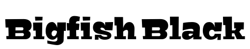 Bigfish Black