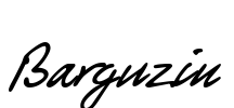 Barguzin Font Image