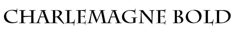 Charlemagne Bold