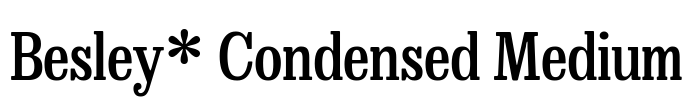 Besley* Condensed Medium