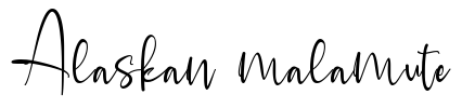 Alaskan malamute Font Image