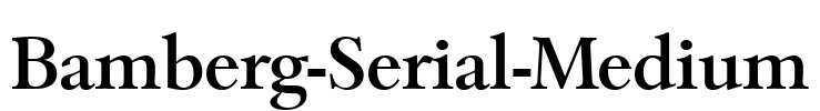 Bamberg-Serial-Medium Font Image