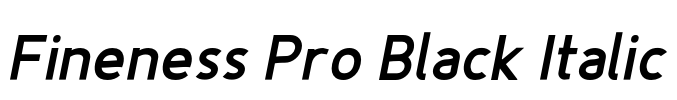 Fineness Pro Black Italic