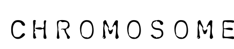 Chromosome