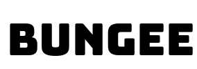 Bungee