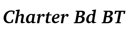 Charter Bd BT Font Image