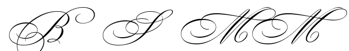 Bickham Script MM Font Image