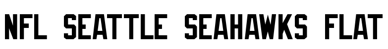 NFL Seattle Seahawks Flat