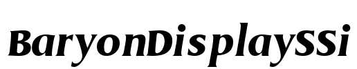 BaryonDisplaySSi Font Image