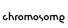 chromosome Font Image