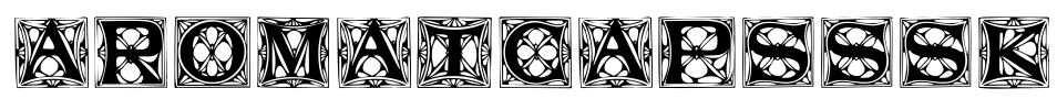 AromatCapsSSK