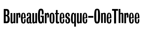 BureauGrotesque-OneThree