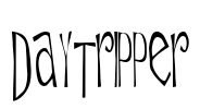 Daytripper