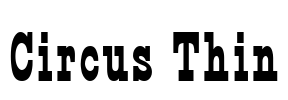 Circus Thin Font Image
