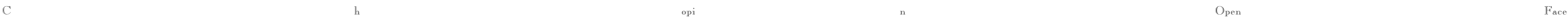ChopinOpenFace Font Image