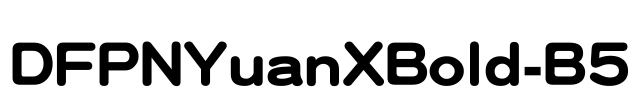 DFPNYuanXBold-B5
