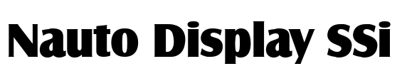 Nauto Display SSi