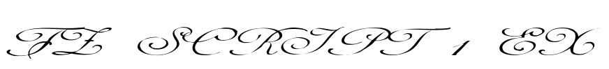 FZ SCRIPT 1 EX