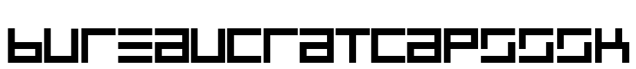 BureaucratCapsSSK