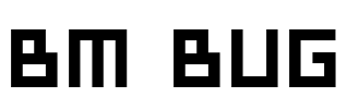 BM bug Font Image