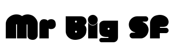 Mr Big SF