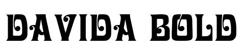 Davida Bold Font Image