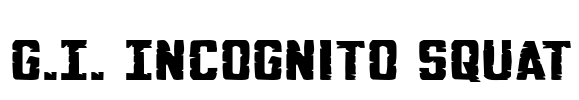 G.I. Incognito Squat