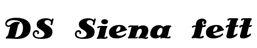 DS Siena fett Font Image