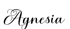 Agnesia Font Image