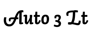 Auto 3 Lt
