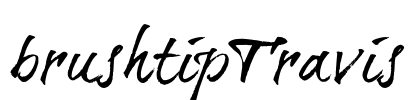 brushtipTravis