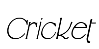 Cricket