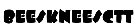 BeeskneesCTT