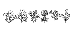 Botani