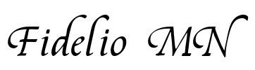 Fidelio MN Font Image