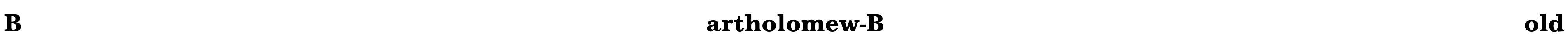 Bartholomew-Bold Font Image