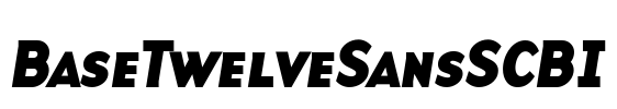 BaseTwelveSansSCBI Font Image