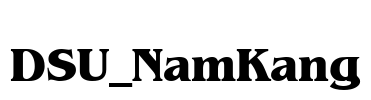 DSU_NamKang Font Image