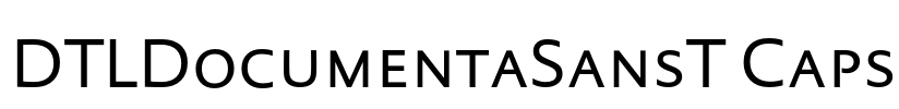 DTLDocumentaSansT Caps Font Image